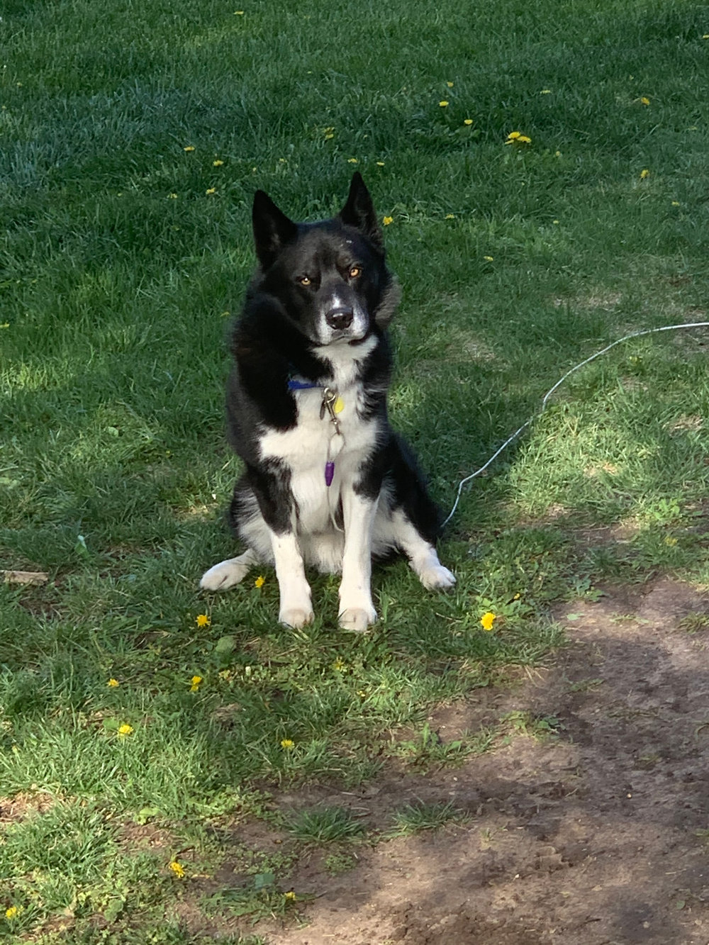 Life during quarantine in Wichita with loved ones