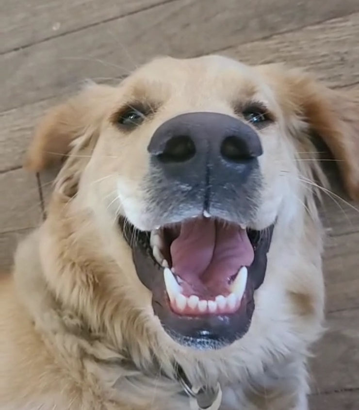 Gert makes me smile :)