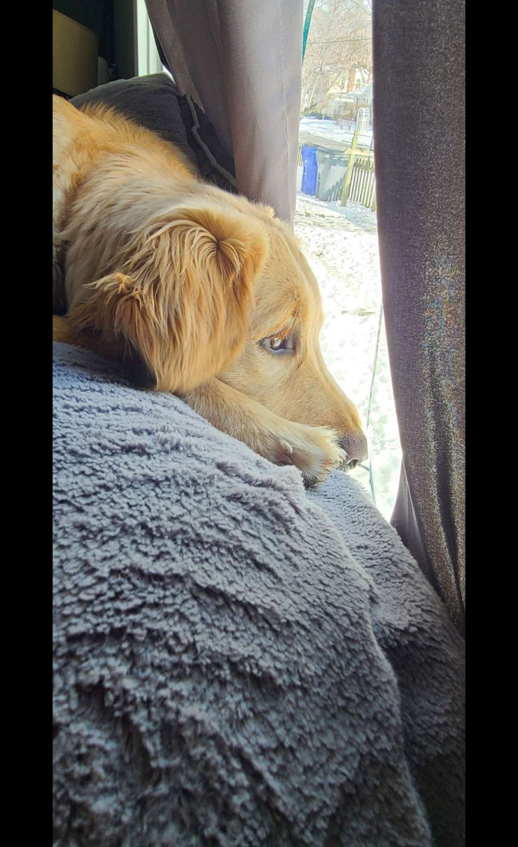 The Second January Blog